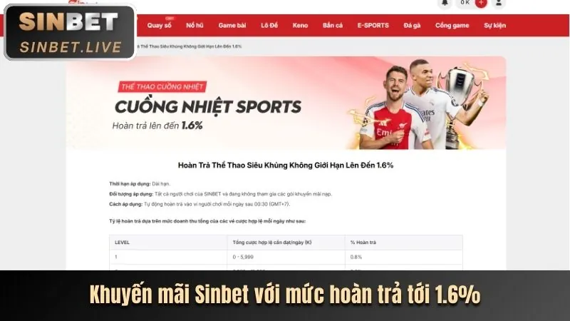 Các tổ chức hỗ trợ bên ngoài